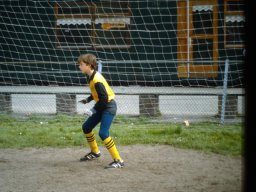 0DIA 1985 RAVA PUPS 1